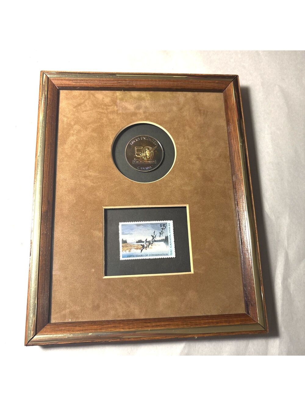 VTG Ducks Unlimited 50 Year Genuine Silver Coin & 5$ Canada Duck Stamp Framed